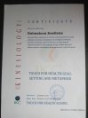 Сертификат по Кинезиологии