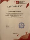 Сертификат «Основы мастерства психолога-практика»
