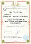 Сертификат Чужак в чужой стране. Онтология и феноменология зависимости.